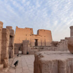 Gallery Thumbnail 11