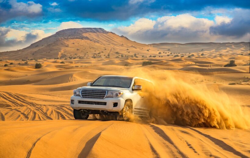 Fayoum Desert Tour: Magic Lake, Qarun Lake & Western Desert